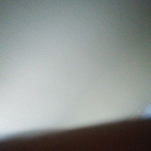 Meet your Posher, Monique